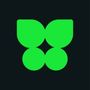 Kocho logo
