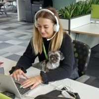 Chloe on cord