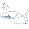 Baleen Labs Ltd logo
