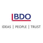 BDO UK LLP on cord