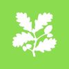 National Trust  logo