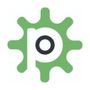 Pirum logo