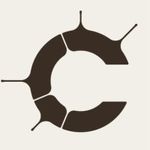Callosum on cord
