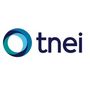TNEI logo