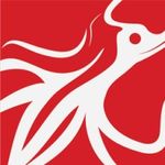 Redsquid on cord